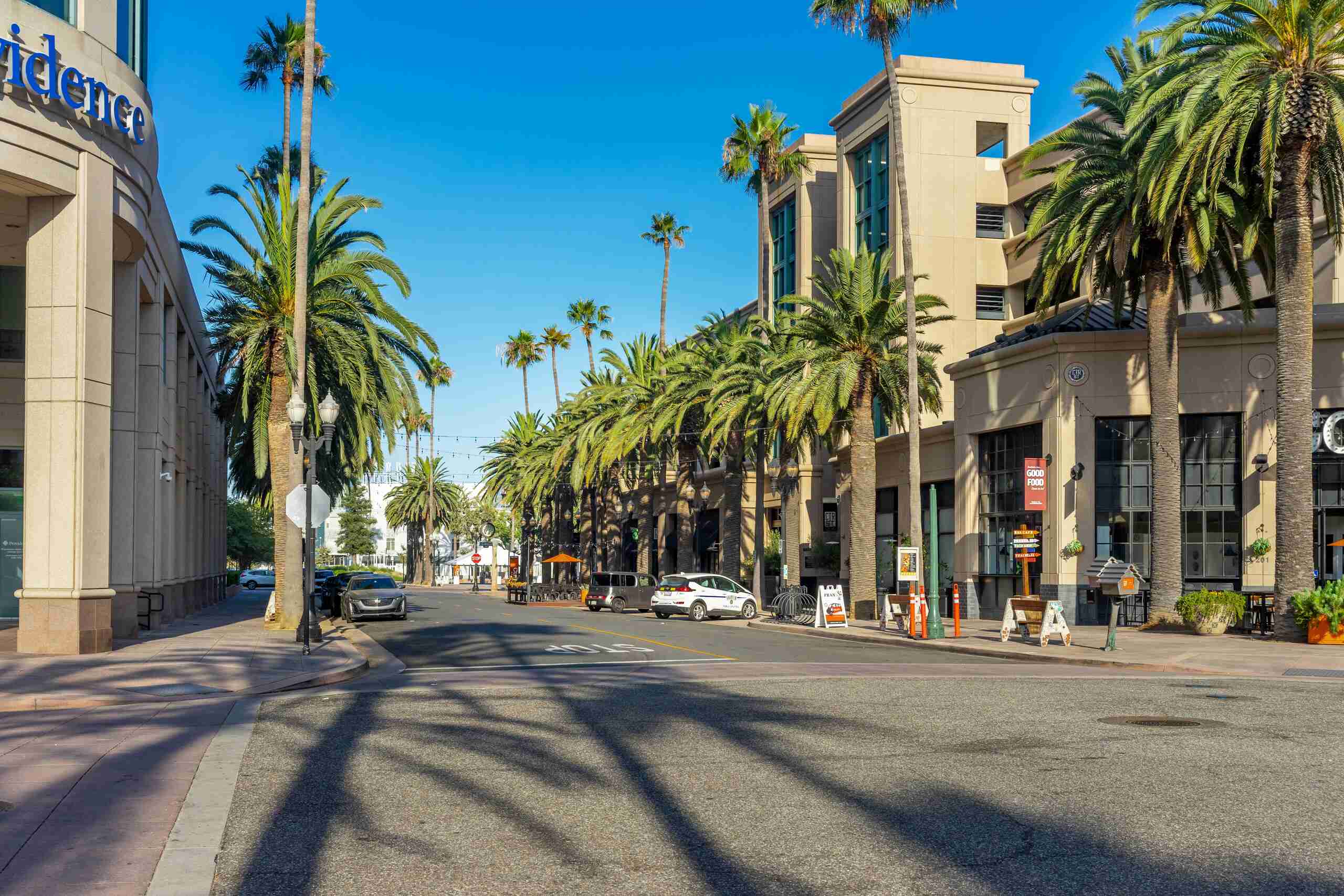 Palm trees line a street in Anaheim where traffic accidents can cause a serious Anaheim brain injury.