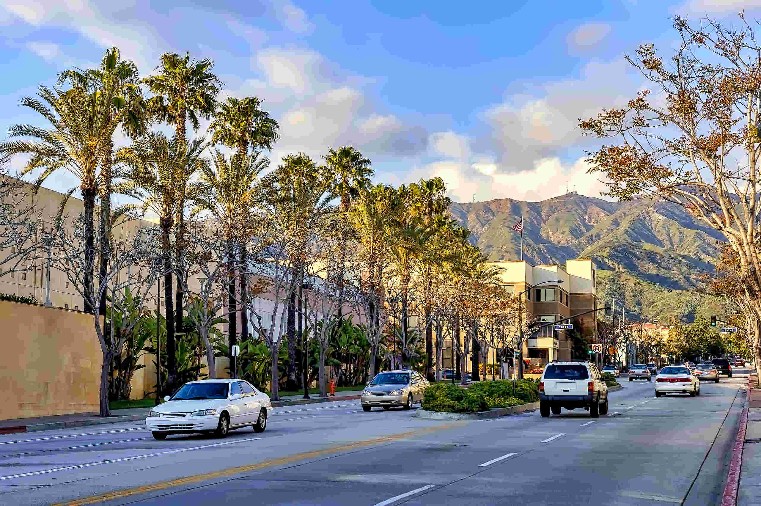 Vehicles driving along palm tree lined Burbank streets where riders consult Burbank motorcycle accident lawyers.
