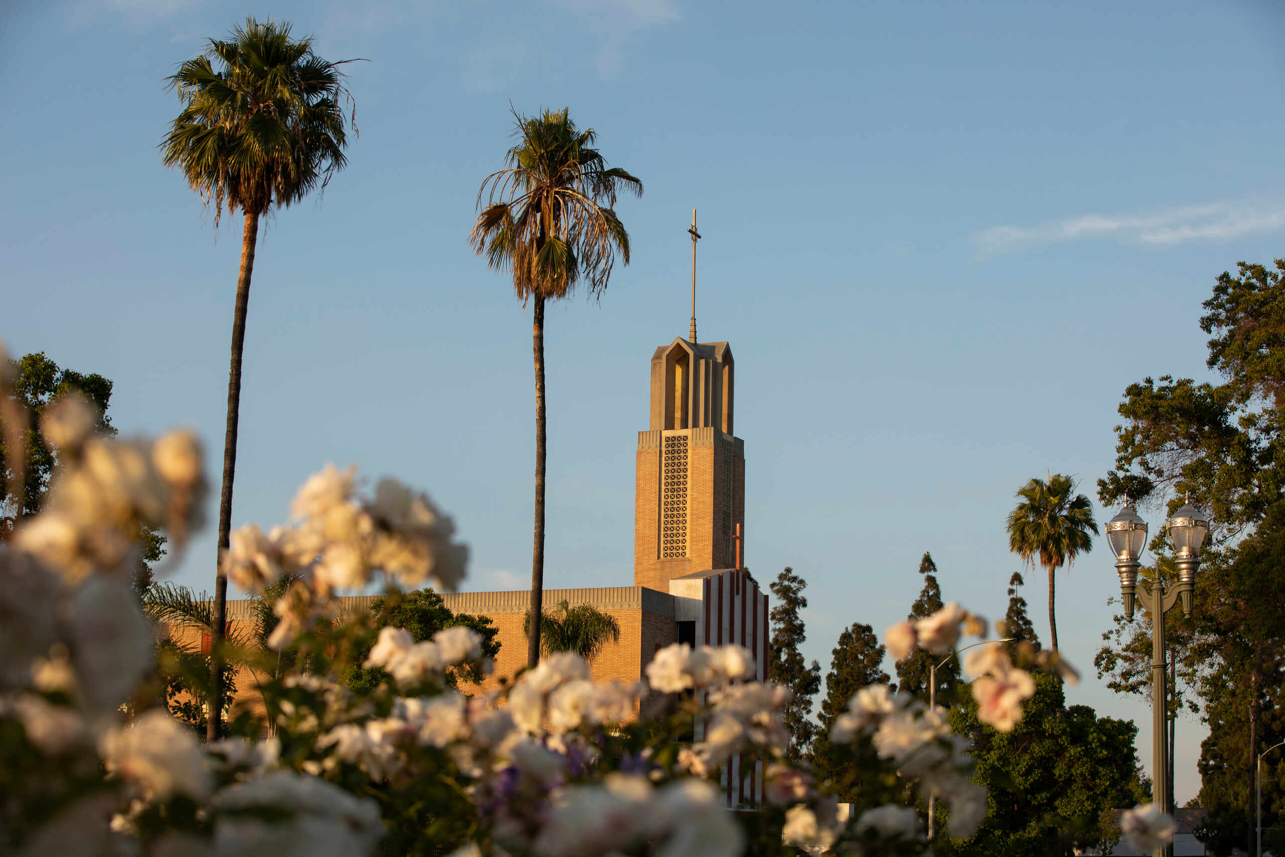 Anaheim city streetscape with palm trees and flowers where victims consult Anaheim hit and run accident lawyers.
