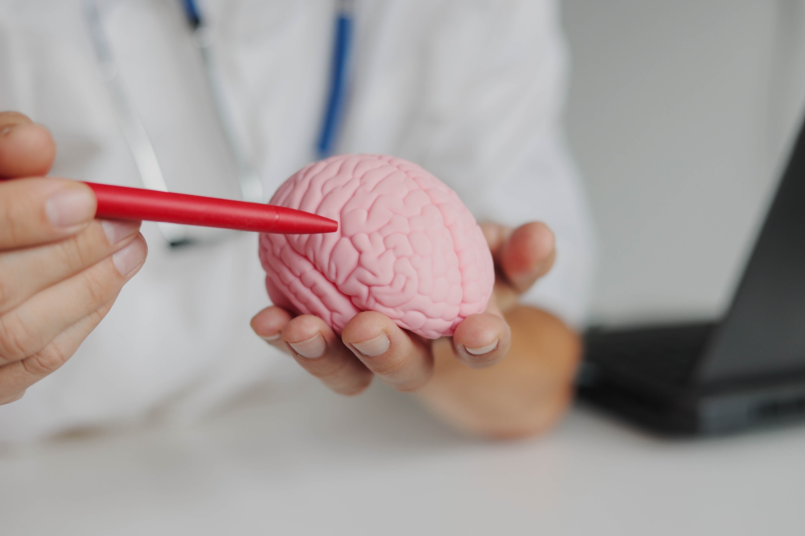 A doctor pointing a red pen at a 3D brain model evaluated by Los Angeles brain injury attorneys.